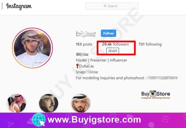 25000 Dubai Instagram Followers Proof