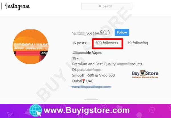 500 Dubai Instagram Followers Proof