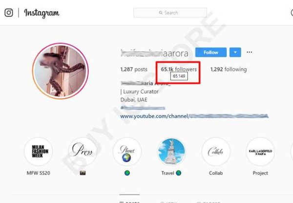 65000 Dubai Instagram Followers Proof