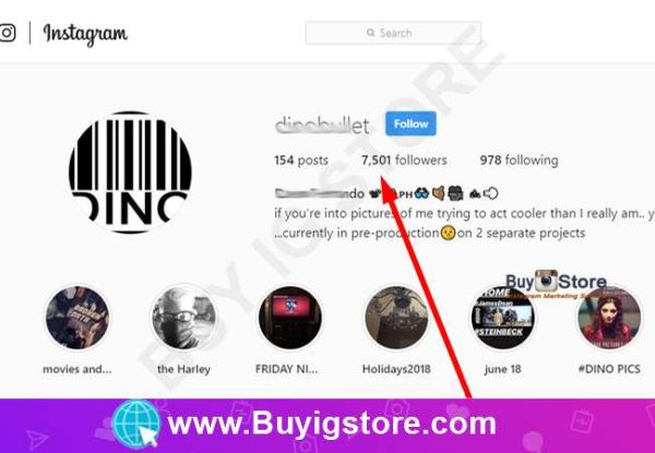 7500 Dubai Instagram Followers Proof